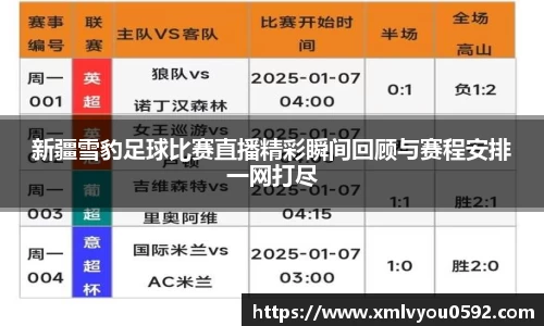 新疆雪豹足球比赛直播精彩瞬间回顾与赛程安排一网打尽