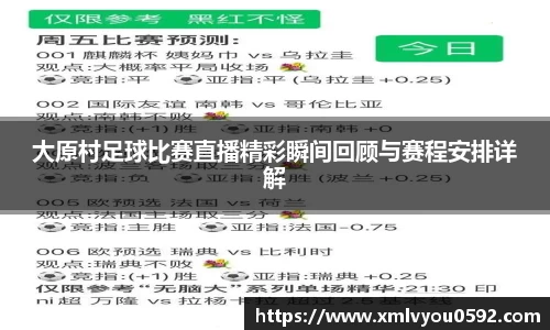大原村足球比赛直播精彩瞬间回顾与赛程安排详解