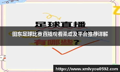 田东足球比赛直播观看渠道及平台推荐详解