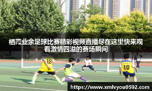 im电竞官网