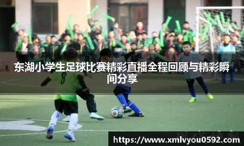 球速体育app