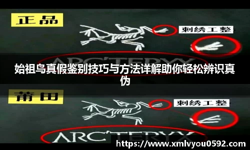始祖鸟真假鉴别技巧与方法详解助你轻松辨识真伪